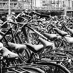 Quentin Zoo Amsterdam