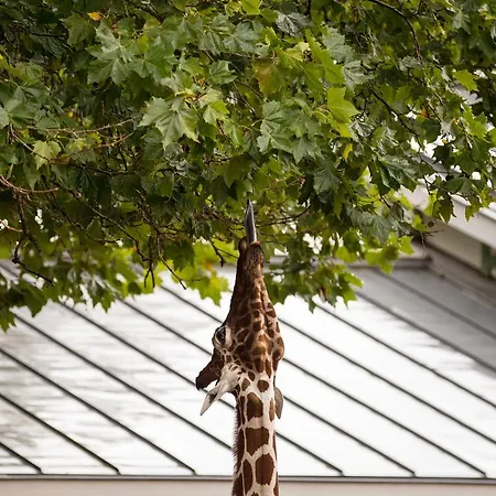 Hotell Quentin Zoo Amsterdam