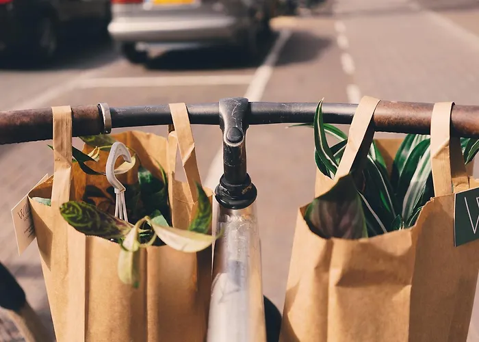 Отель Quentin Zoo