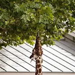 Hotel Quentin Zoo Amsterdam