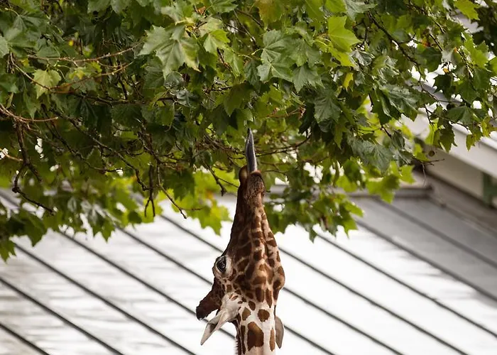 Hotel Quentin Zoo Amsterdam