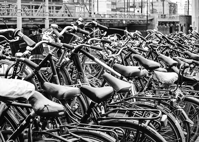 Quentin Zoo Amsterdam