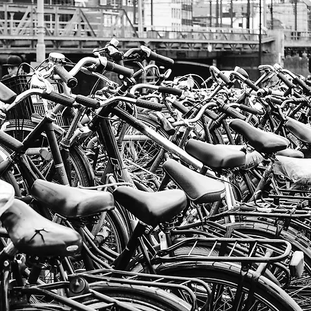 Quentin Zoo Amsterdam